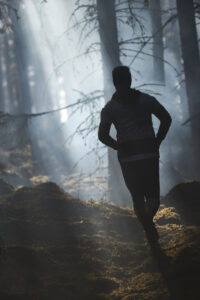 Fredrik, Bauergårdens personliga tränare, springer på en stig i den trolska Bauerskogen som är som gjord för traillöpning. Det är dunkelt och lite dimmigt