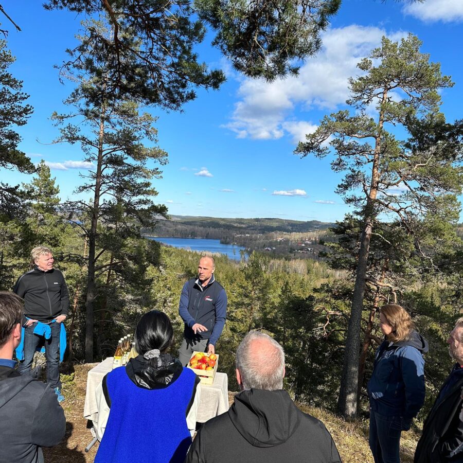 Deltagare under konferensaktivitet i Jönköping vandrar genom naturen vid Bunn och njuter av lokala provsmakningar under en konferens